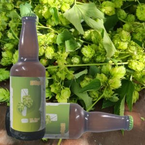 HL Beer - 500 ml